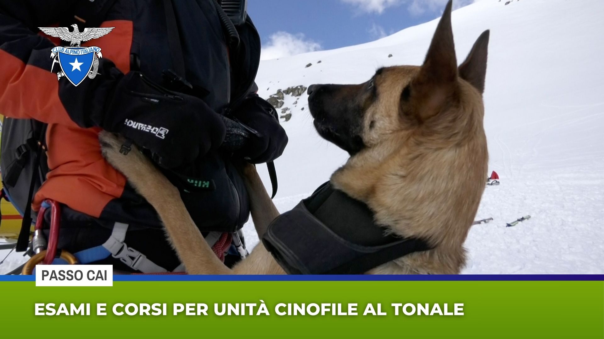 Passo Cai: esami e corsi per unità cinofile al Tonale