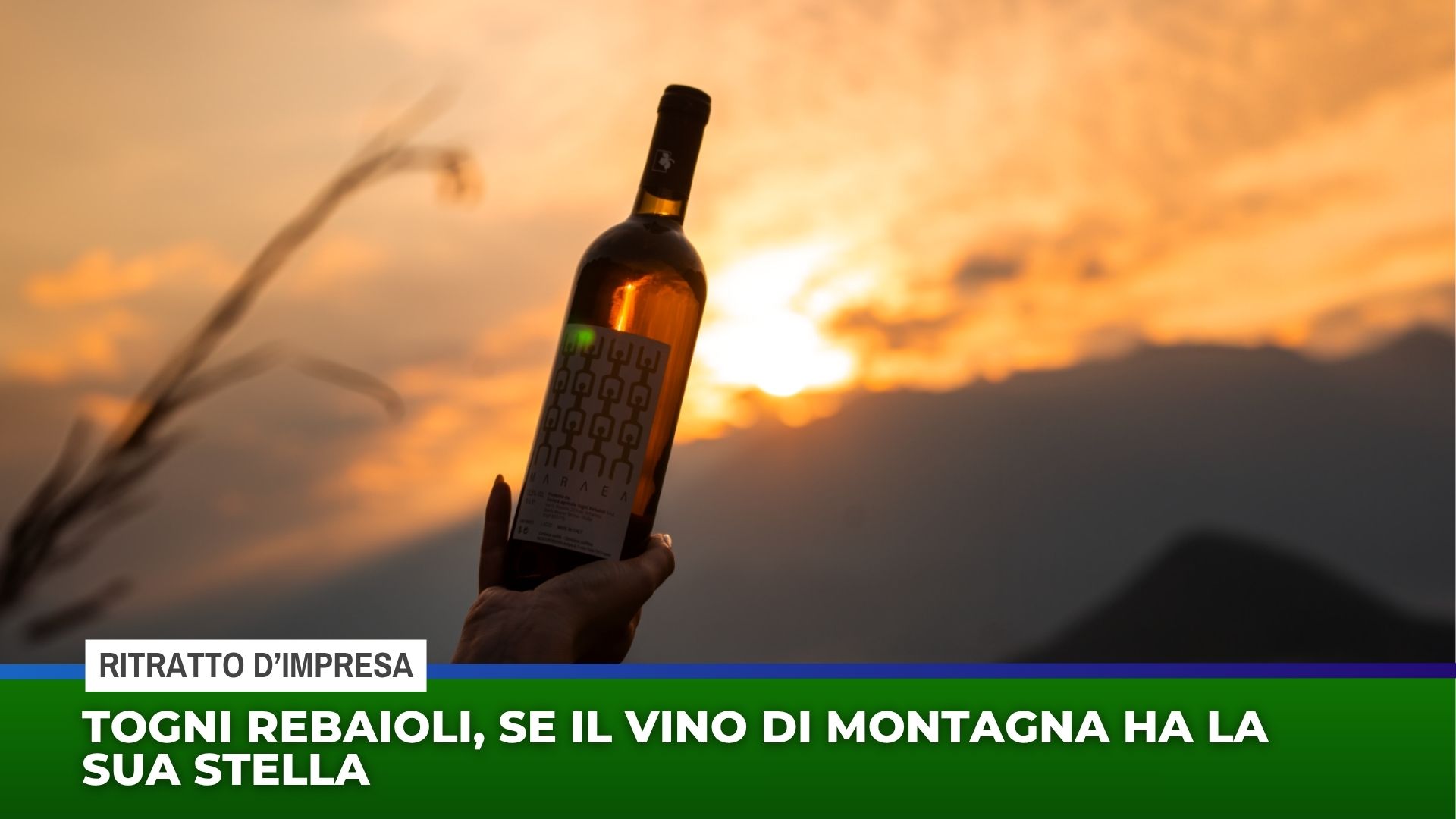 Togni Rebaioli, se il vino di montagna ha la sua stella