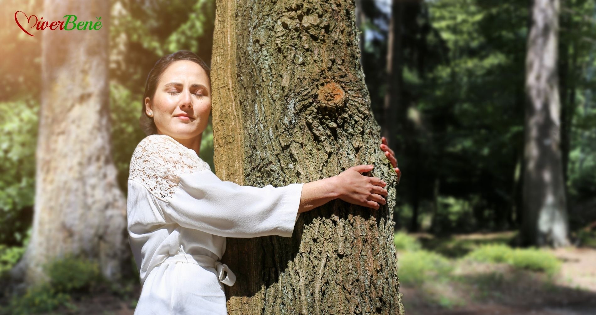 Shinrin-yoku: un rituale di salute e bellezza, anche interiore