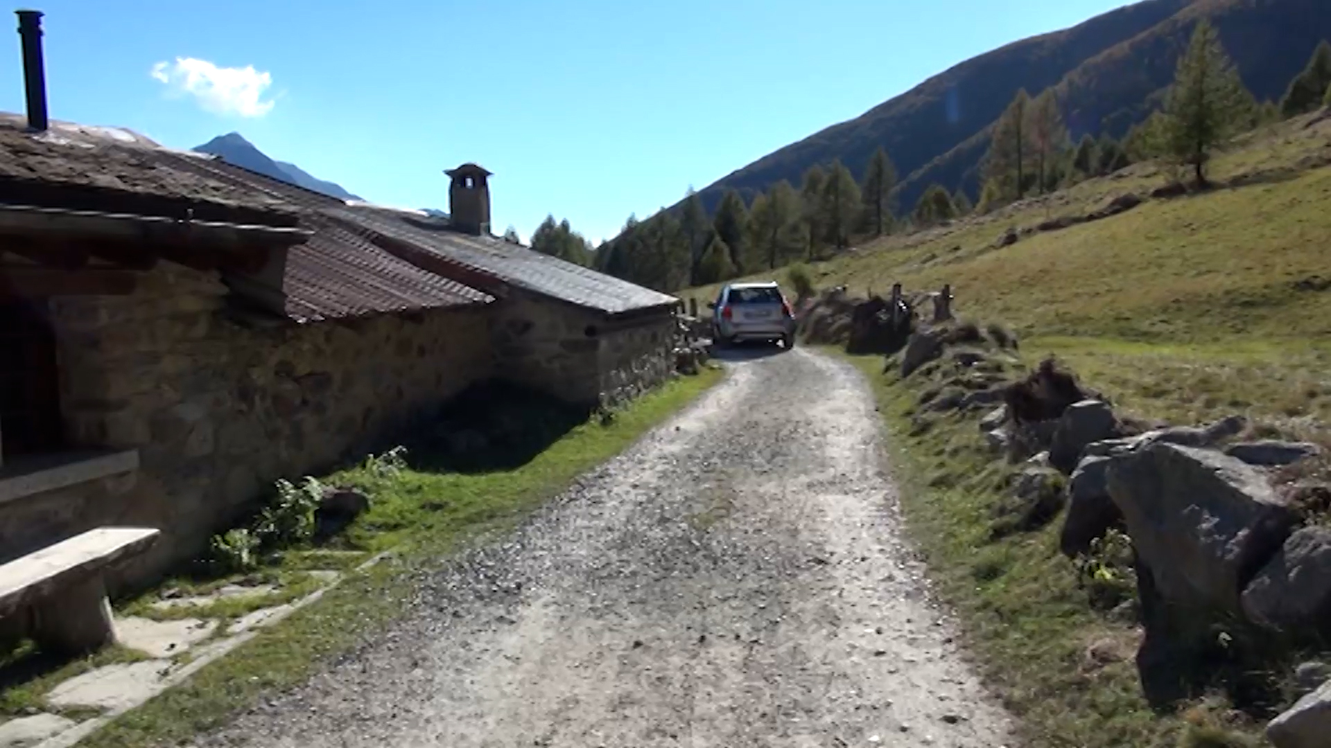 Stop alle auto in Val Grande per tutelare i cervi