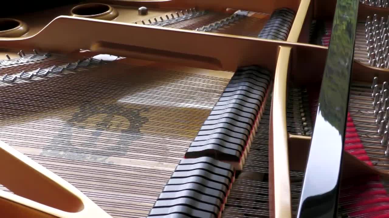 Le note del pianoforte di Pierangelo Taboni per la dea Minerva