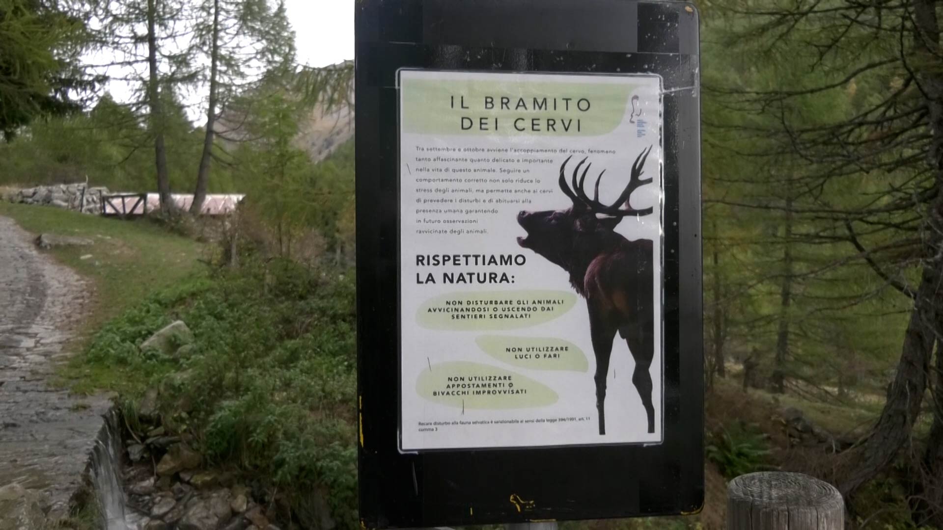 Escursioni in Val Grande, più sostenibili grazie al bus navetta